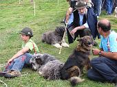 28 Grandi e piccoli